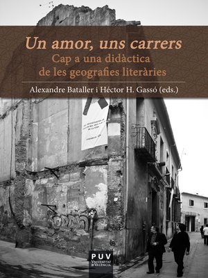 cover image of Un amor, uns carrers